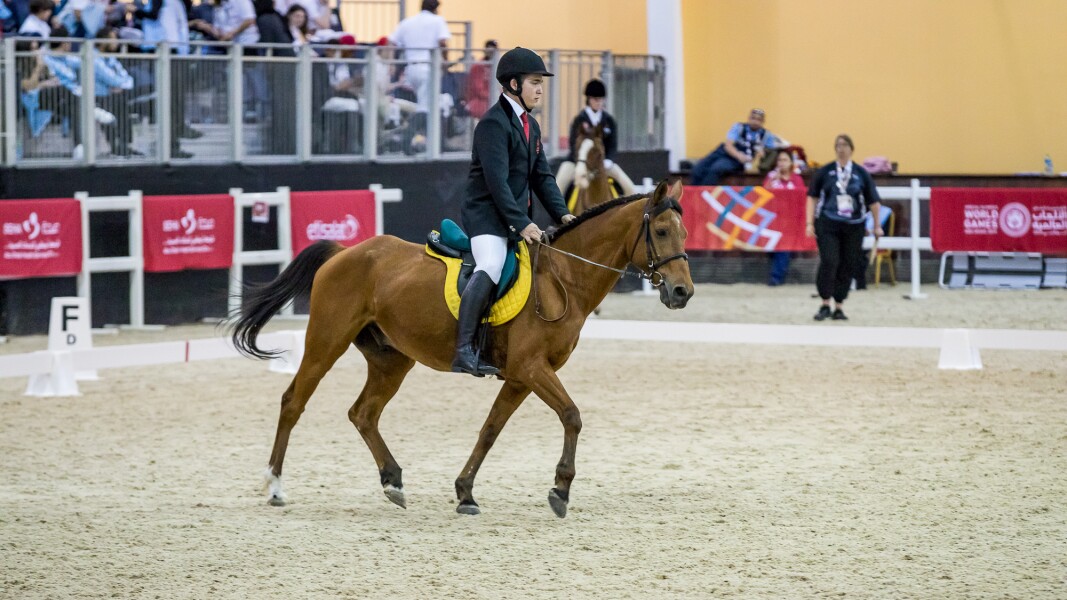 Das Foto zeigt einen Athleten auf dem Pferd.
