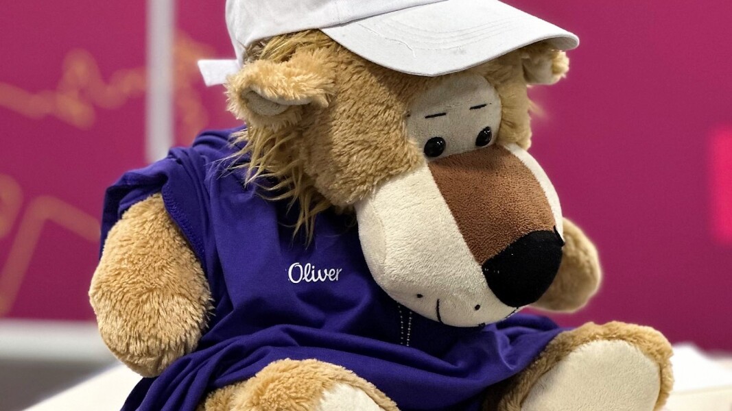 Das Foto zeigt ein lustiges Maskottchen (Plüschtier) in Volunteer-Uniform mit einer langen Nase, lila T-Shirt und weißem Basecap.