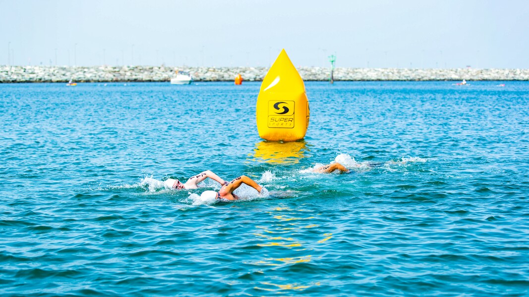 Das Foto zeigt drei Schwimmer*innen beim Freiwasserschwimmen.