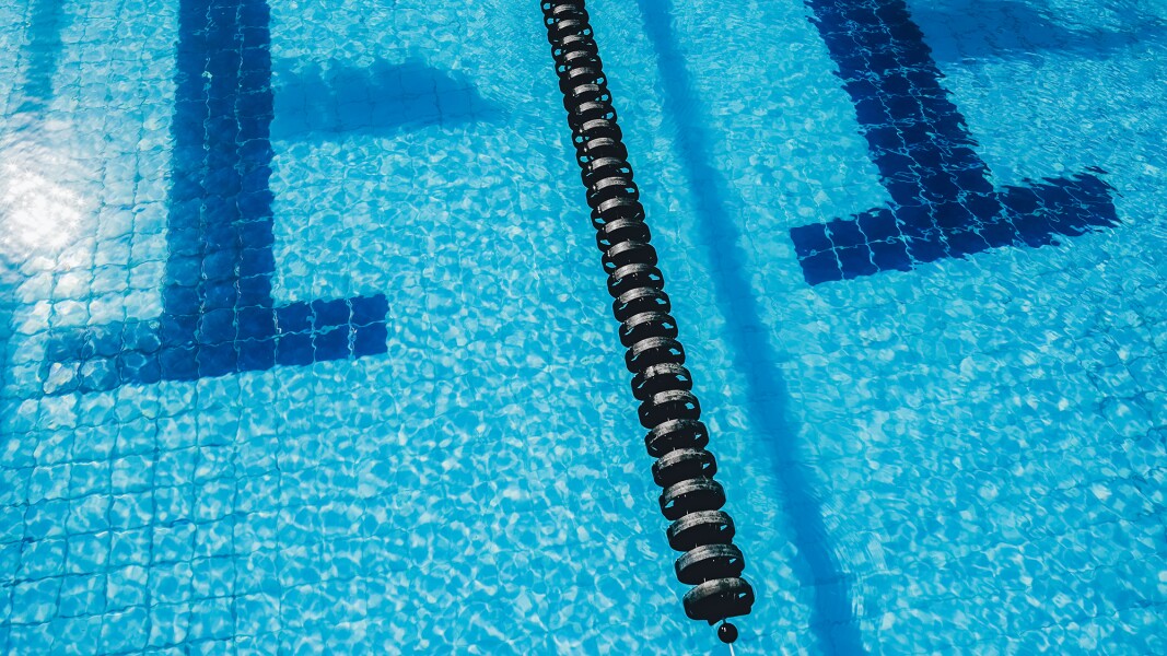 Auf dem Foto ist das Becken eines Schwimmbads von oben zu sehen.