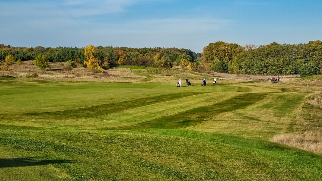Das Foto zeigt einen Golfplatz und 4 Personen im Hintergrund, die Golftaschen tragen.