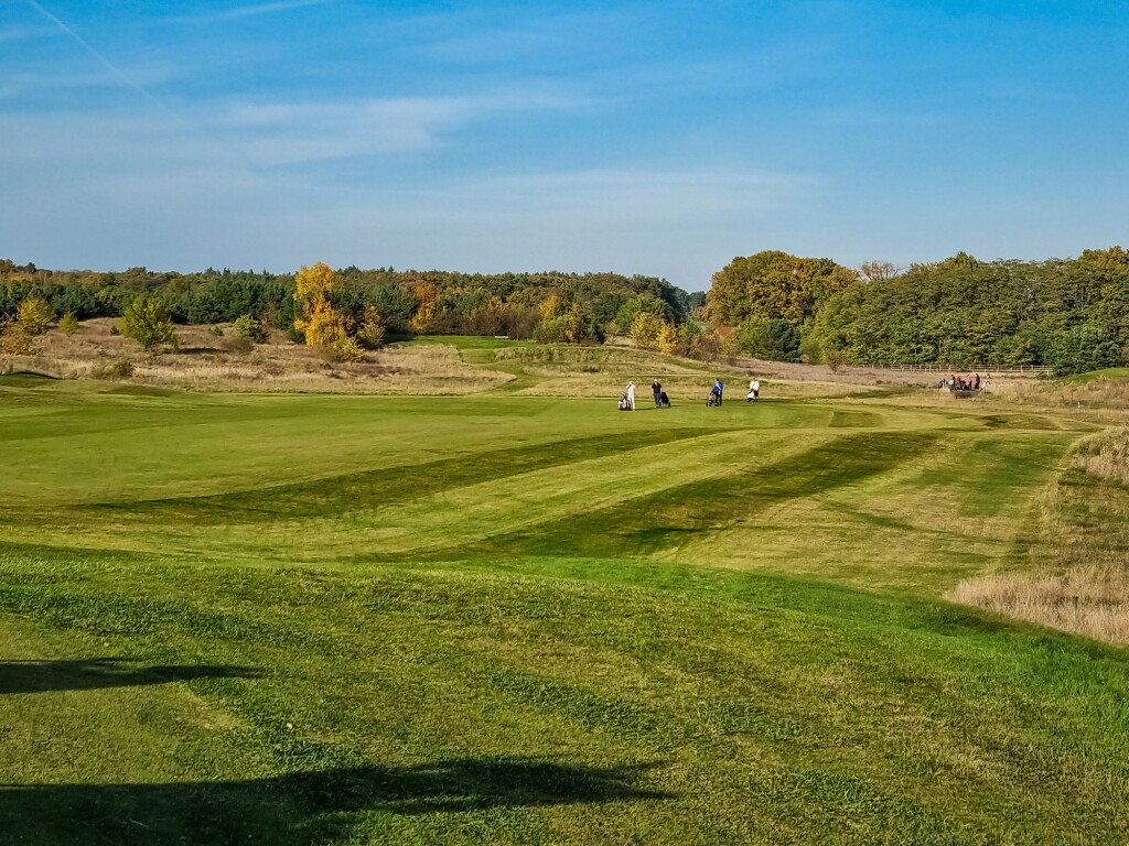 The photo shows a golf course and 4 people carrying golf bags.
