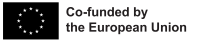 EN  Co-Funded by the EU_BLACK.png
