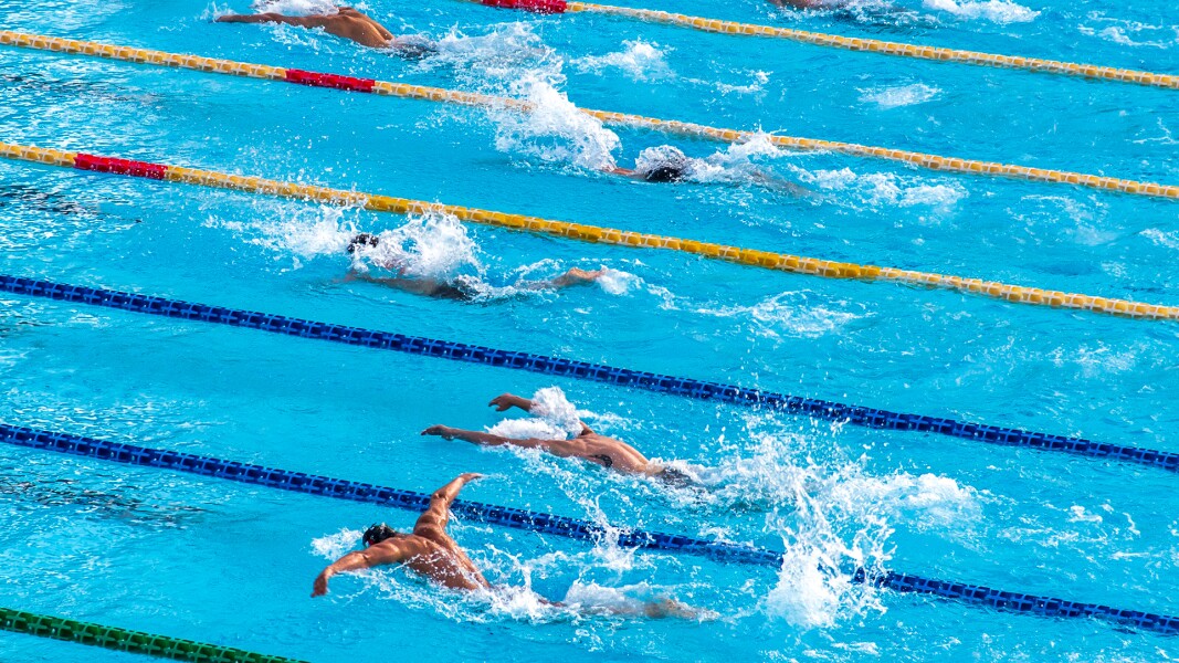 Das Foto zeigt mehrere Schwimmbahnen in einer Schwimmhalle und Menschen die schwimmen.