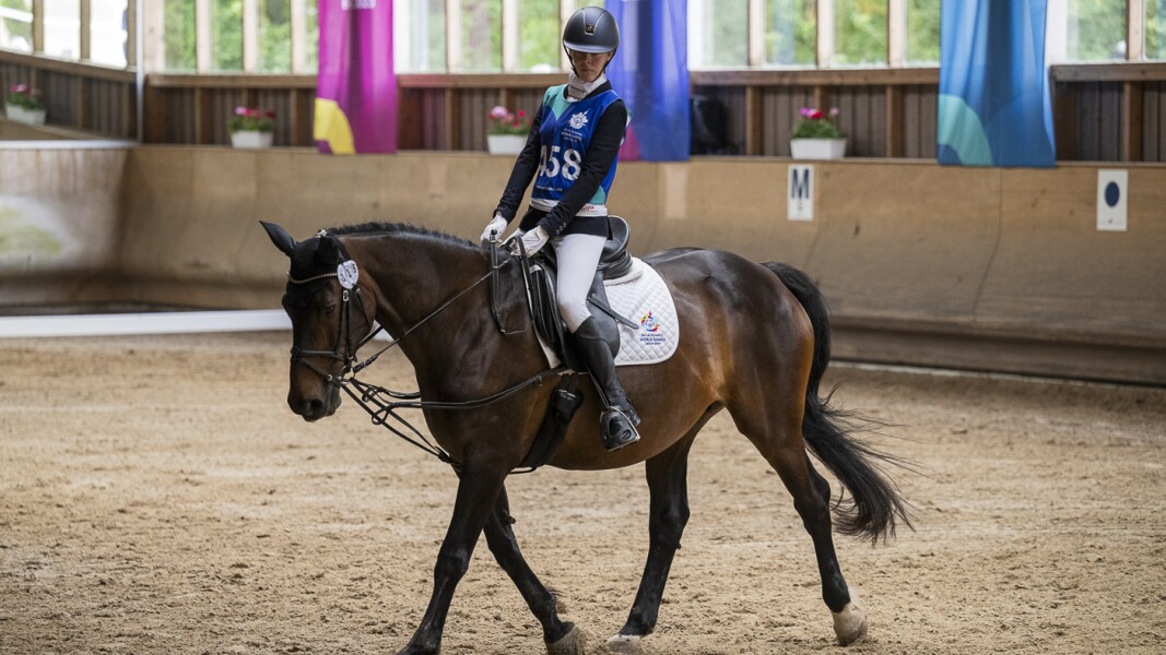 Das Bild zeigt die australische Sportlerin Karen auf ihrem wunderschönen braunen Pferd Fanny beim Dressurwettkampf. Pferd und Reiter wirken sehr konzentriert.