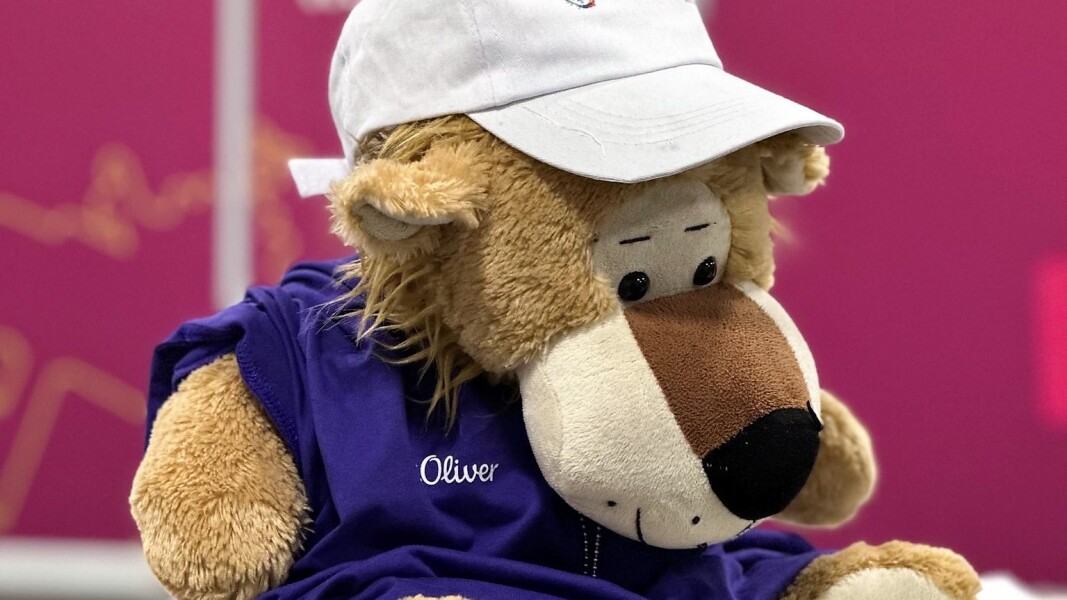 The photo shows a funny mascot (stuffed animal) in volunteer uniform with a long nose, purple t-shirt and white baseball cap.