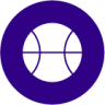 Icon Basketball